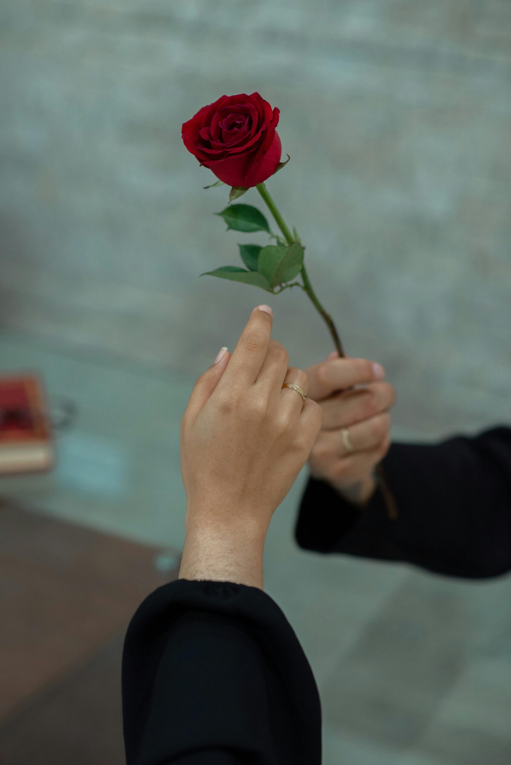 Person presenting another person with a rose